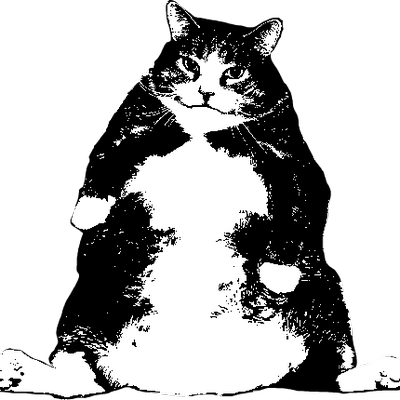 A very fat cat